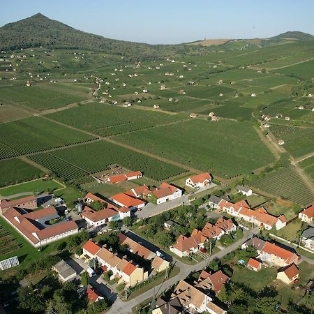 Отель Tiffan'S Pinceszet Es Panzio Виллань Номер фото