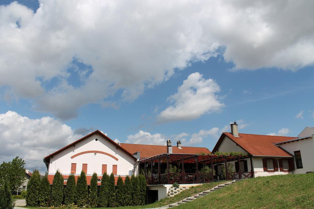 Отель Tiffan'S Pinceszet Es Panzio Виллань Экстерьер фото