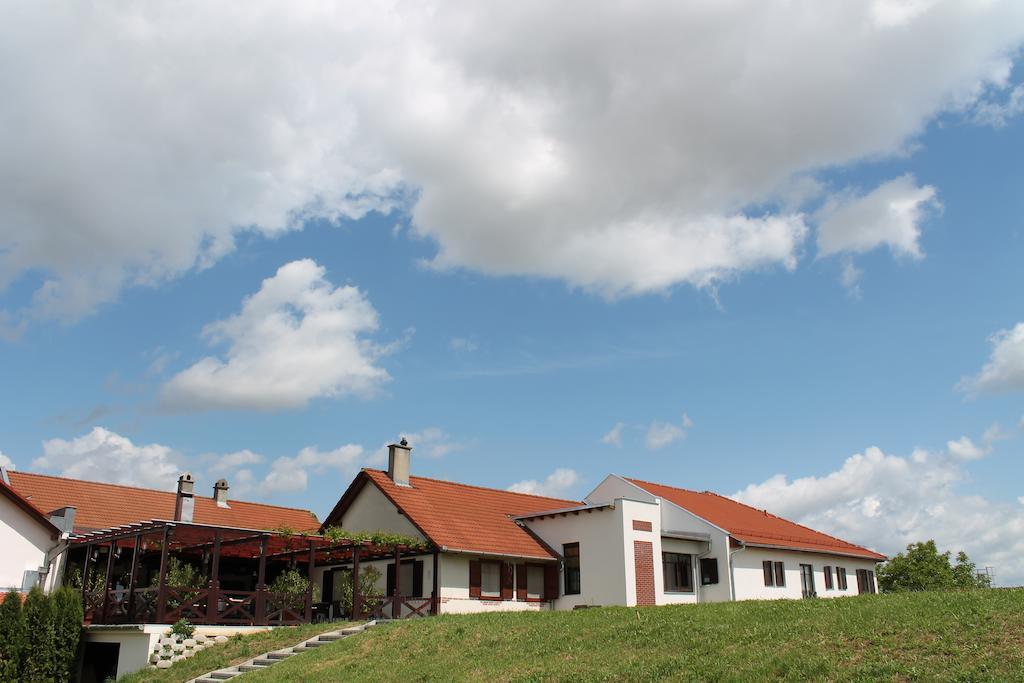 Отель Tiffan'S Pinceszet Es Panzio Виллань Экстерьер фото